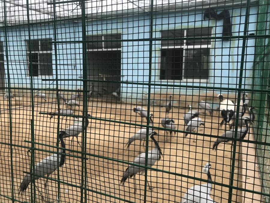 天鵝湖風景區(qū)（泰山）速覽！(圖5)