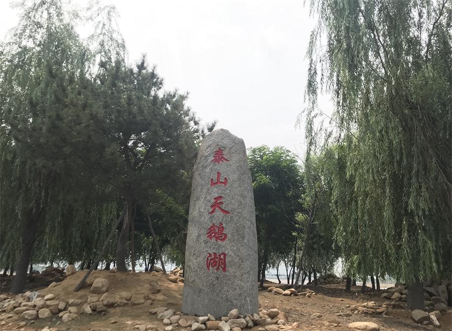 天鵝湖風景區(qū)（泰山）速覽！(圖12)