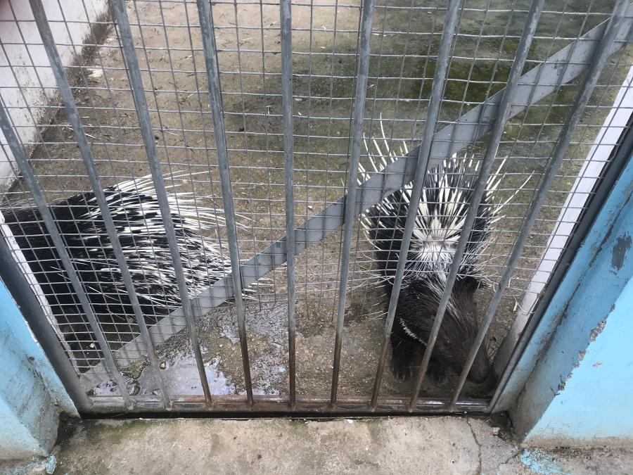 天鵝湖風景區(qū)（泰山）速覽！(圖10)