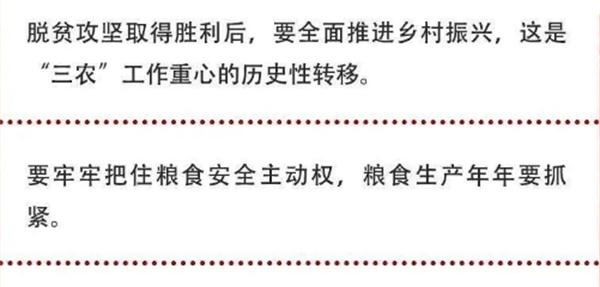 2020年中央農(nóng)村工作會(huì)議精神速覽！(圖2)