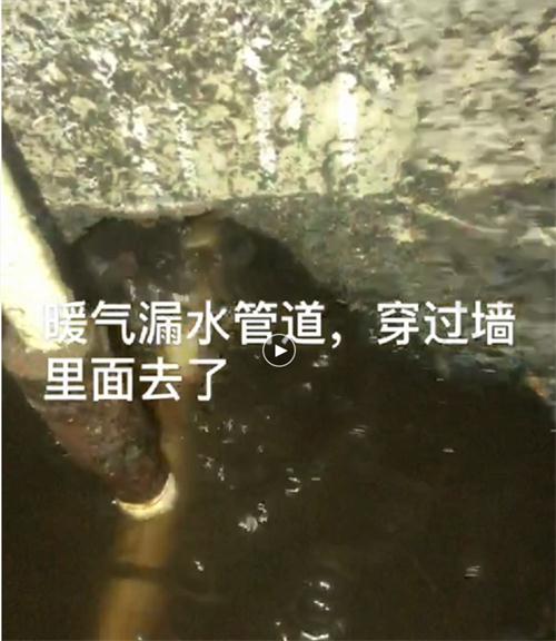 精準(zhǔn)檢測漏水、滲水：客廳、廚房、衛(wèi)生間。。。(圖4)